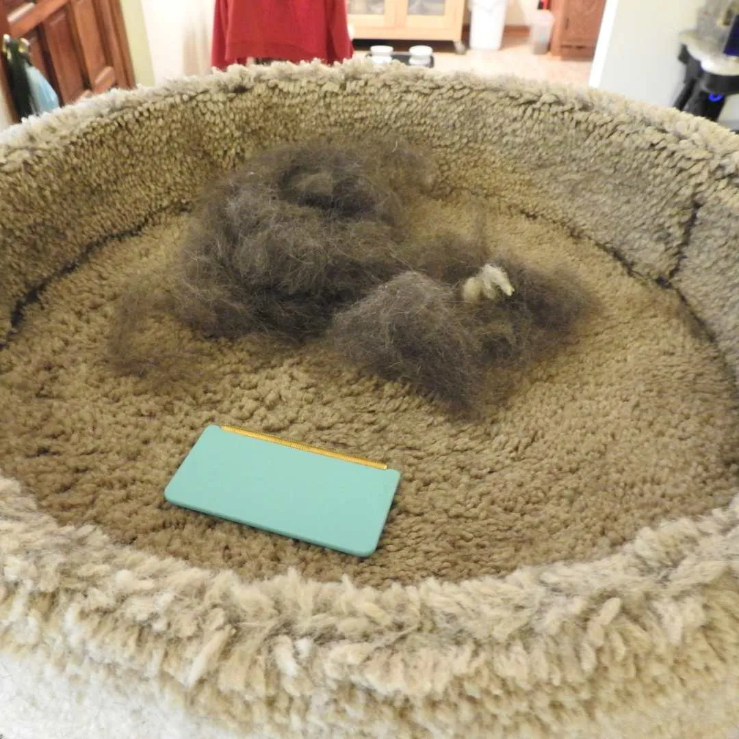 Uproot Cleaner Kits™