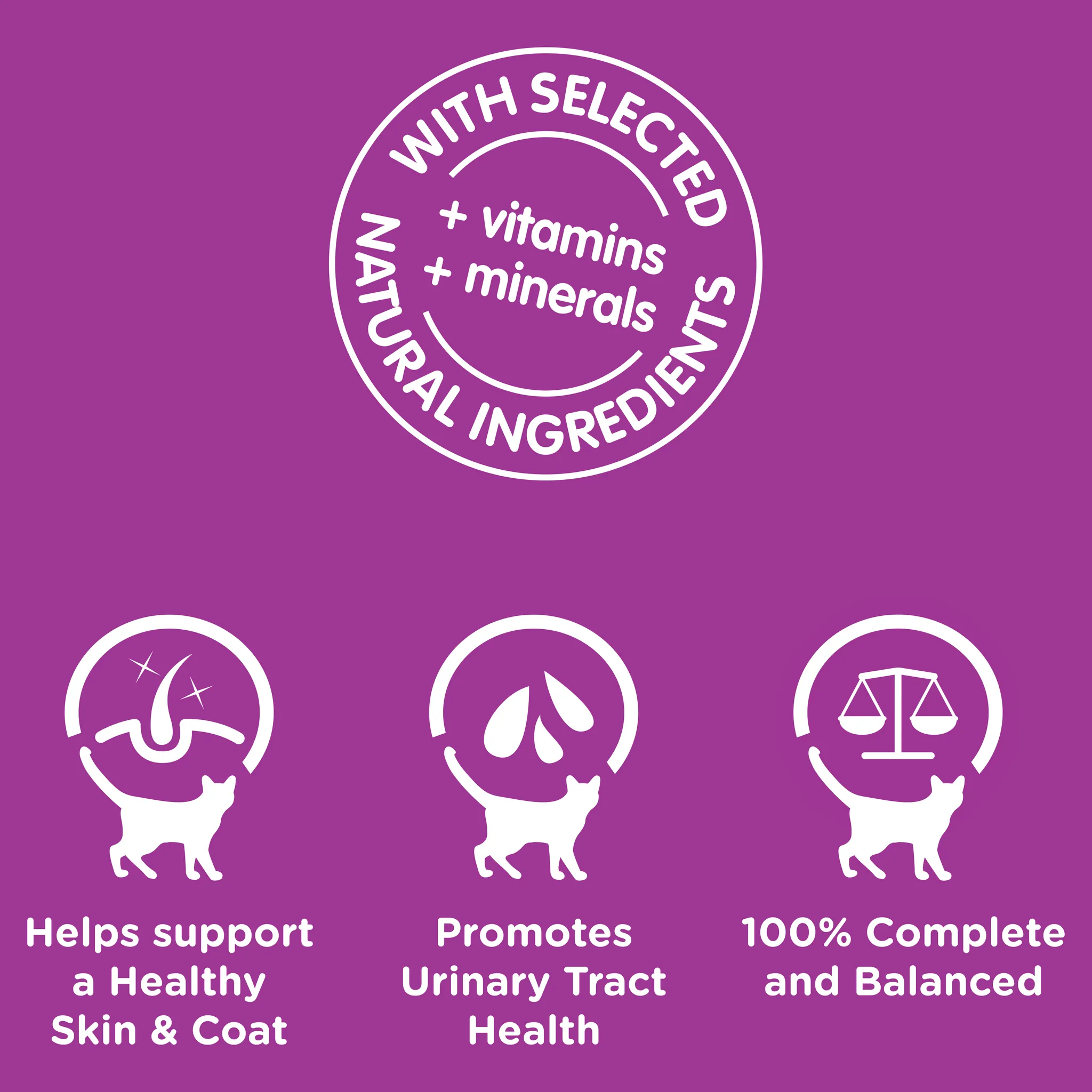 Whiskas Favourites Cat Adult 1 yrs Tuna Chunks In Jelly 85g x 12