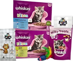 Whiskas Kitten Delightful Mixed Pack Of 12 Ocean Fish And 12 Variety Jelly Combined With AETN Creations Chicken Treat, Milky Bites Toy Perfect For Growing Kittens