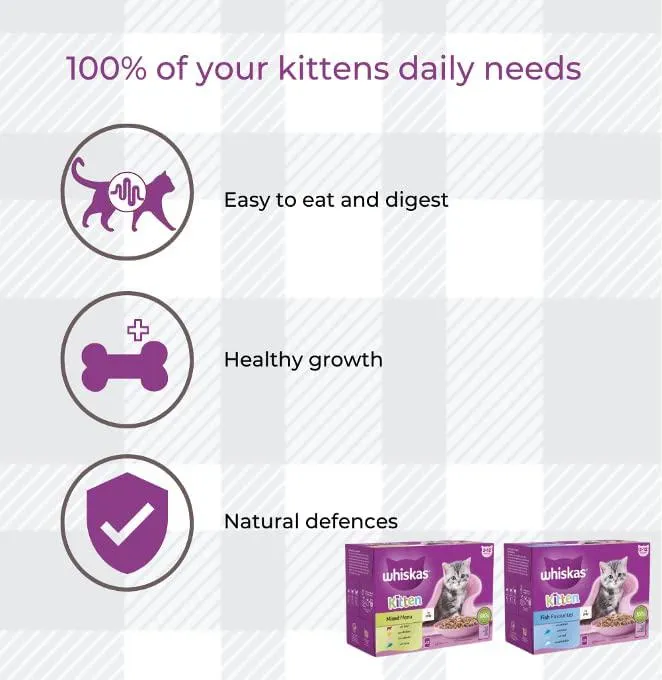 Whiskas Kitten Delightful Mixed Pack Of 12 Ocean Fish And 12 Variety Jelly Combined With AETN Creations Chicken Treat, Milky Bites Toy Perfect For Growing Kittens
