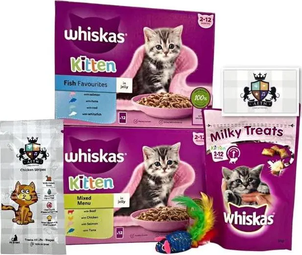 Whiskas Kitten Delightful Mixed Pack Of 12 Ocean Fish And 12 Variety Jelly Combined With AETN Creations Chicken Treat, Milky Bites Toy Perfect For Growing Kittens