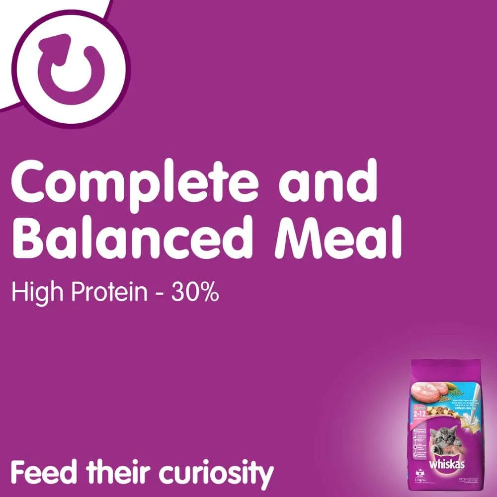 Whiskas Tuna in Jelly Kitten Wet Food and Ocean Fish Kitten Dry Food Combo