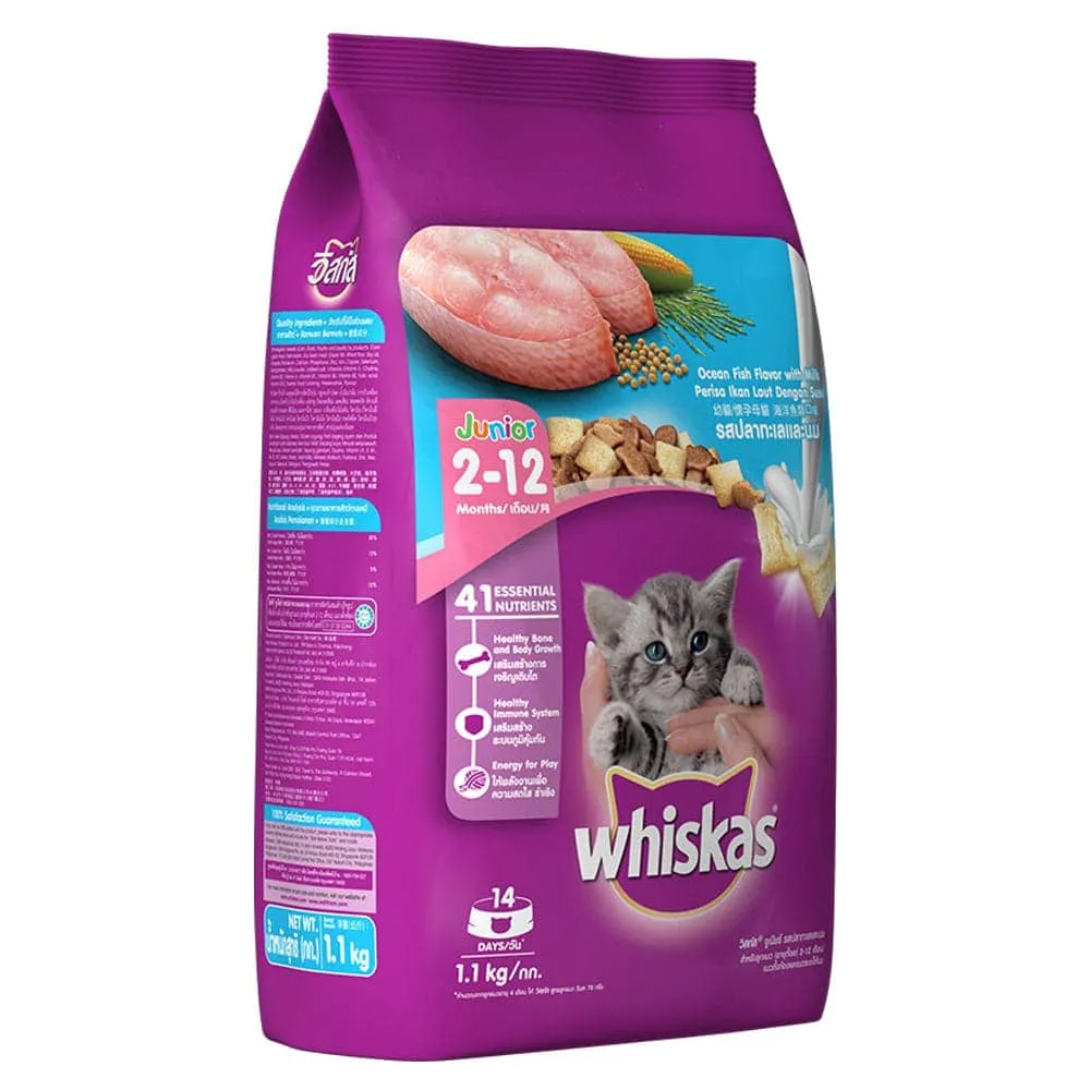 Whiskas Tuna in Jelly Kitten Wet Food and Ocean Fish Kitten Dry Food Combo