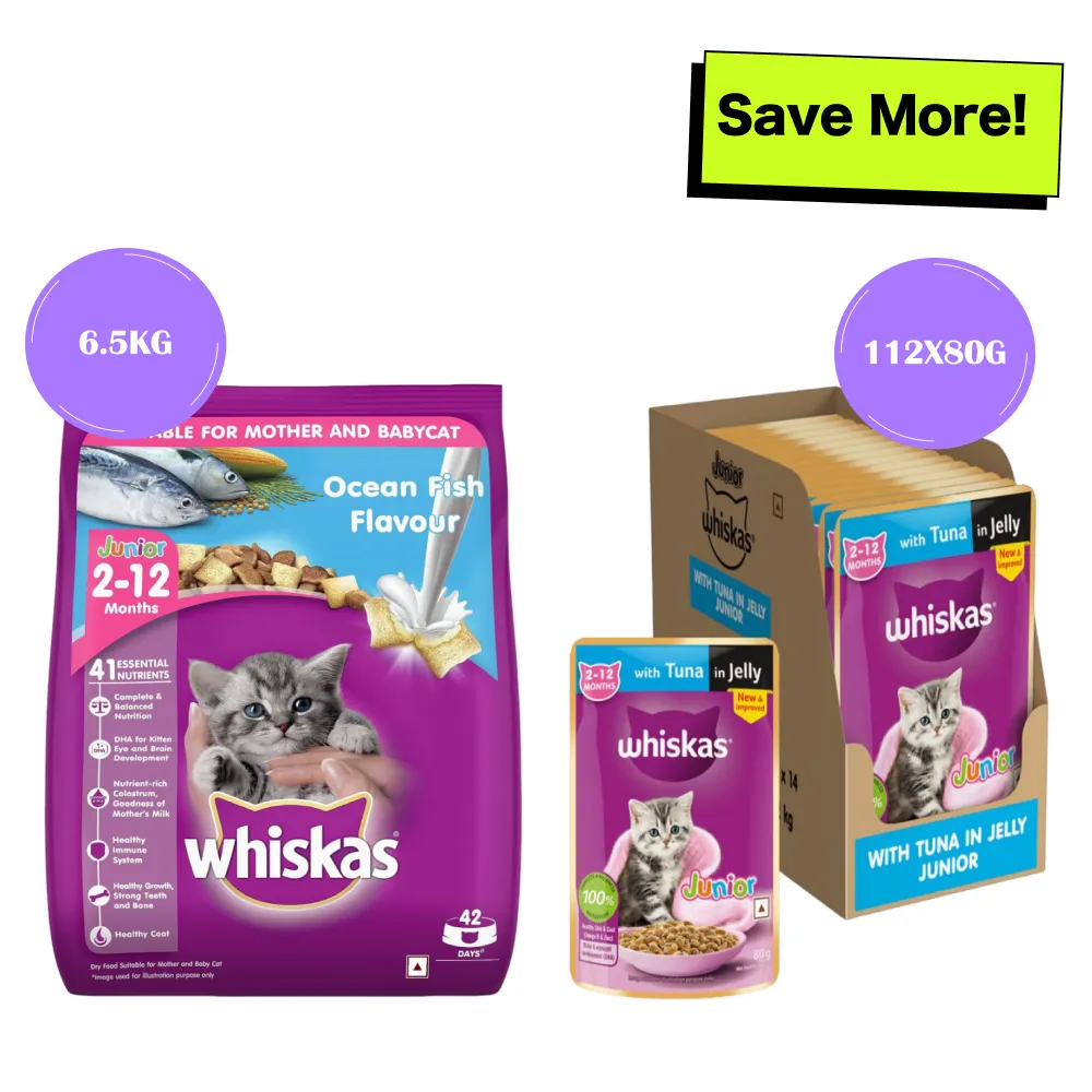 Whiskas Tuna in Jelly Kitten Wet Food and Ocean Fish Kitten Dry Food Combo